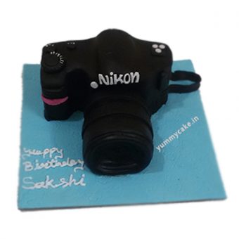 fondant camera cake online