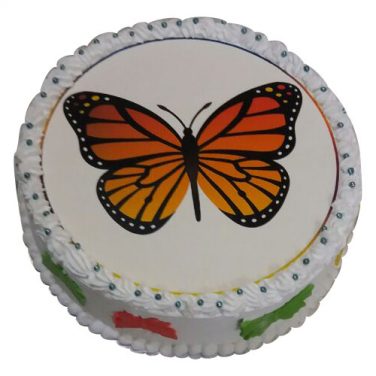 butterfly cake online