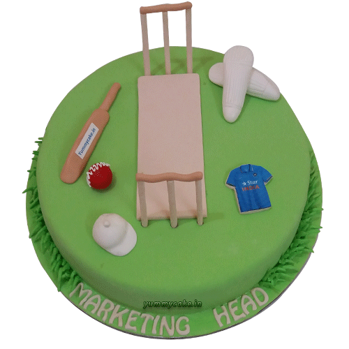 designer cricket cake online