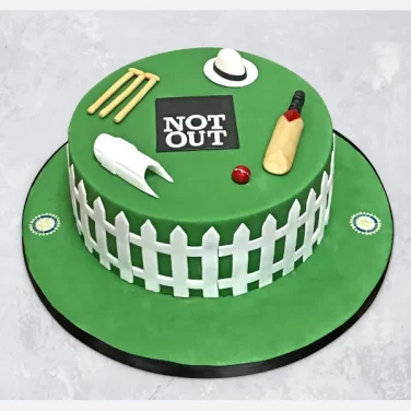 designer cricket cake