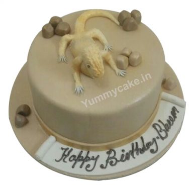 chameleon cake online