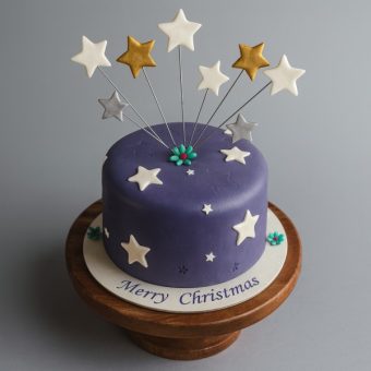 starry christmas cake