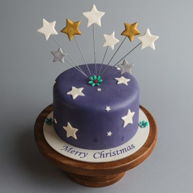 starry christmas cake