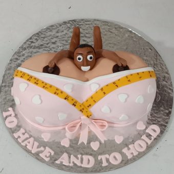 adult boob cake