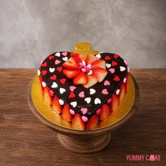 Chocolate Strawberry Cake