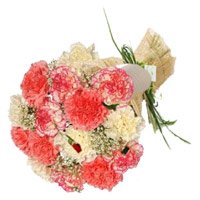10 mixed colored carnations online