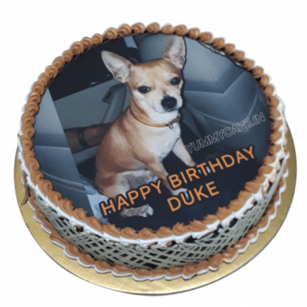 dog photo cake