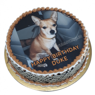 Dog Photo Cake