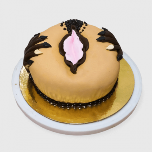 vagina cake or pussy theme cake