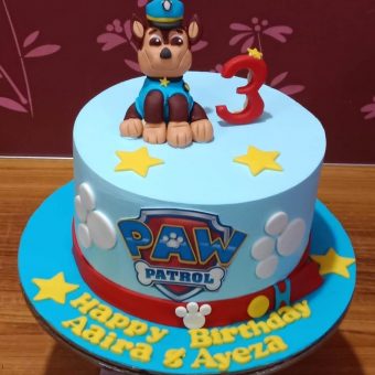 paw petrol cake design