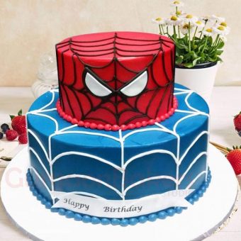 spiderman birthday cake 2 tier