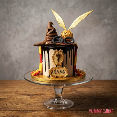 Harry Potter Cake