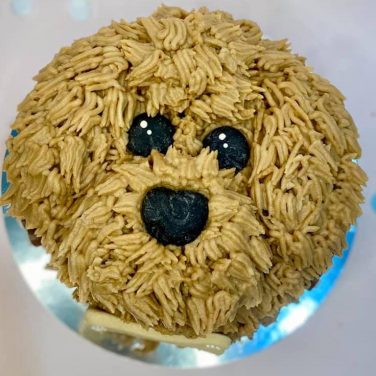 poodle dog face cake design
