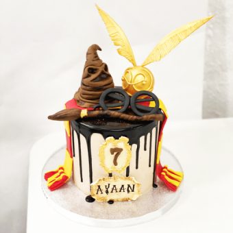 harry potter cake