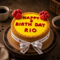 sunshine woof cake for dog