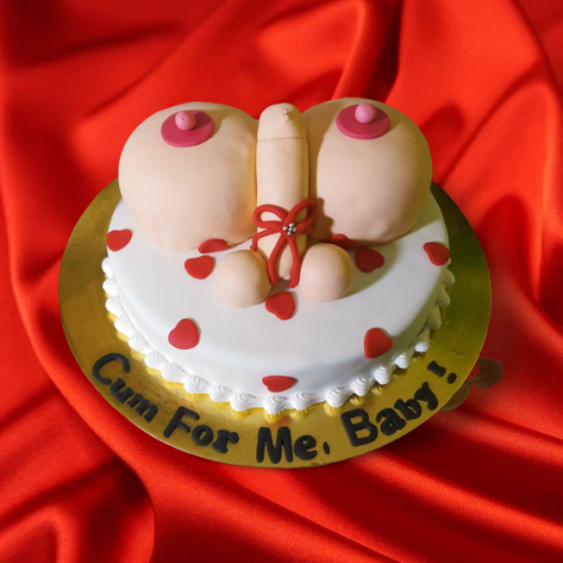 penis and boob cake
