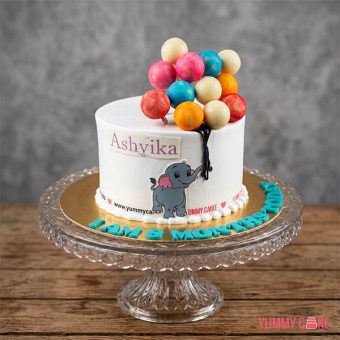11 Month Birthday Cake