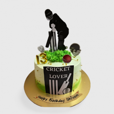 unique cricket theme cake