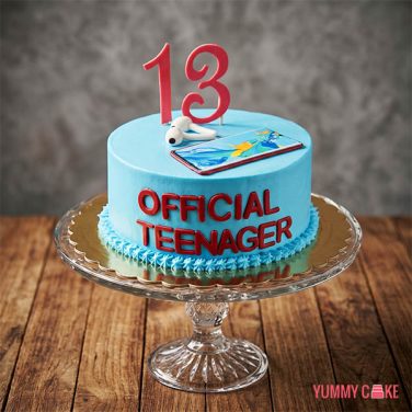 Official Teenager Cake
