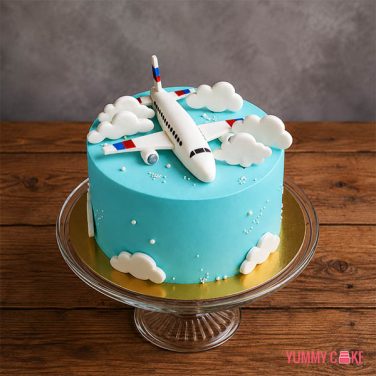 Fondant Airplane Cake