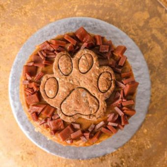 dog paw print cake with cookies