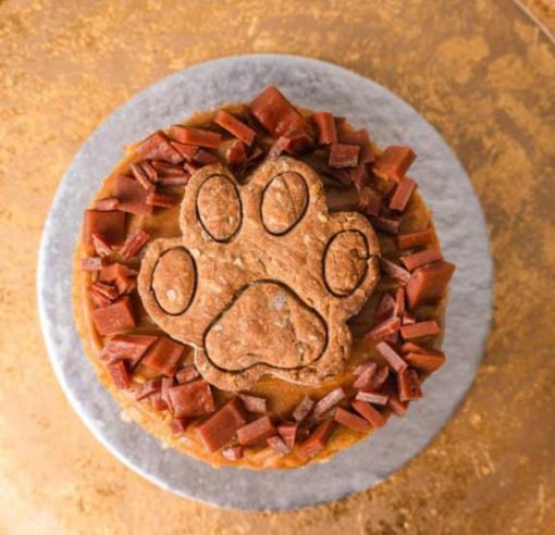dog paw print cake with cookies