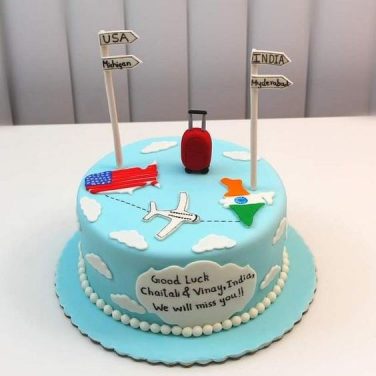 flying usa to india cake design