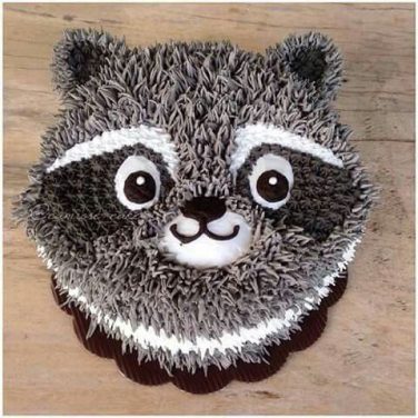 raccoon cake design