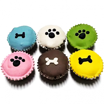 dog party treat 6 colorful cupcakes