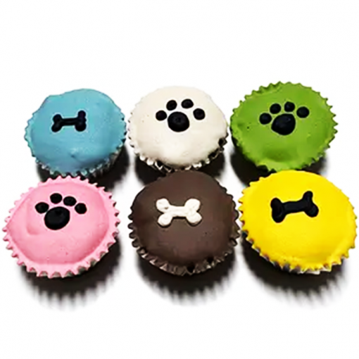 dog party treat 6 colorful cupcakes