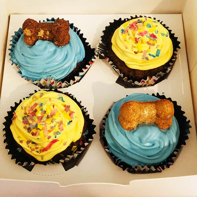 dog special gourmet cupcakes