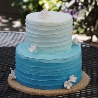 2-tier-creamy-white-bluecake