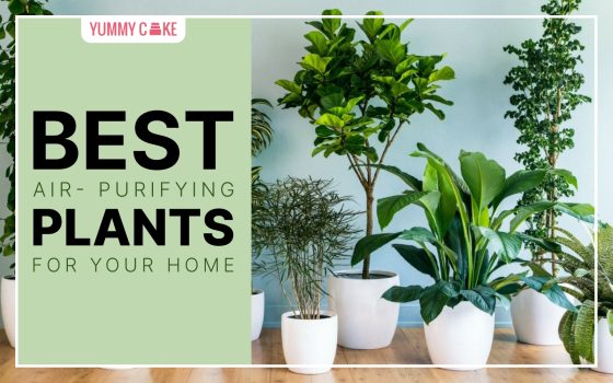 The Best Air-Purifying Plants for Your Home