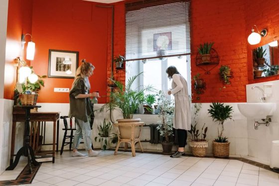 Low-Maintenance Indoor Plants That Anyone Can Grow