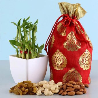 Lucky Bamboo with Dry Fruit Potli