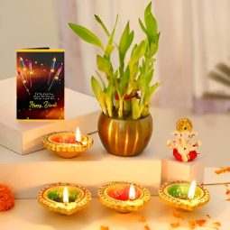 Bamboo Plant Diwali Vibes Combo