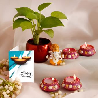 Diwali Wishes Money Plant Combo