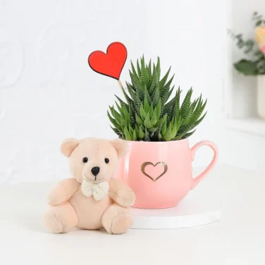 cute teddy with plant of love