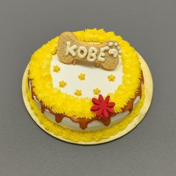Dog Bone Cake with Name