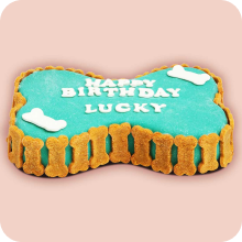 Dog Cake