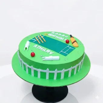 cricket pitch birthday cake