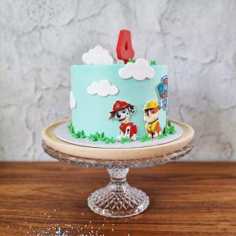 4th birthday paw patrol cake side view