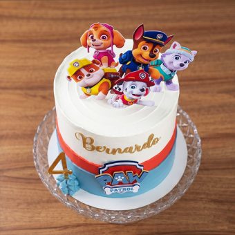 paw patrol character topper cake front view