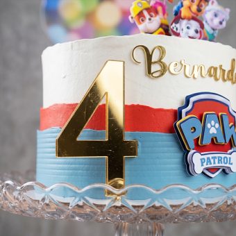 paw patrol character topper cake side view