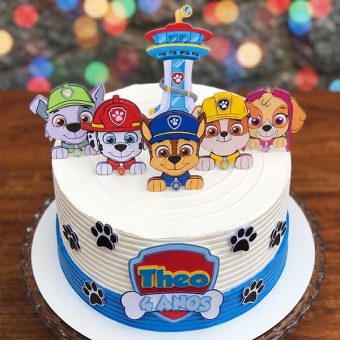 paw patrol group theme cake top view