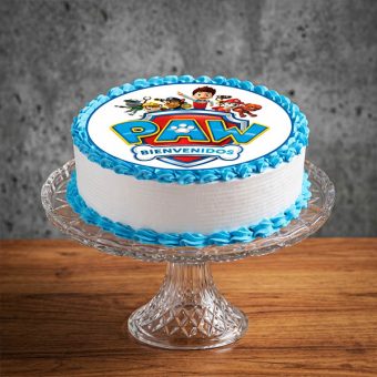 Paw Patrol Photo Cake