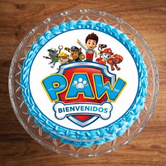 paw patrol photo cake top view
