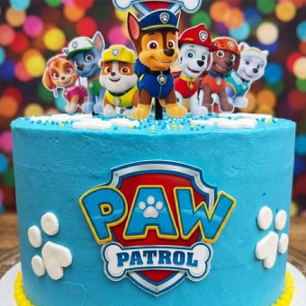 paw patrol team cake front view