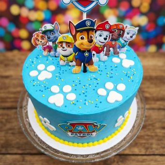 paw patrol team cake top view