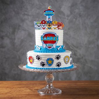 paw patrol two tier birthday cake